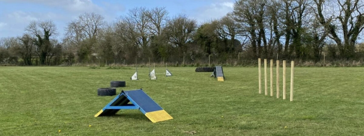 Agility equipment in 4 acre dog park