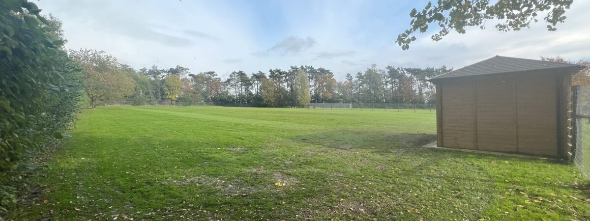 Borough Court Dog Fields on dogparks.uk