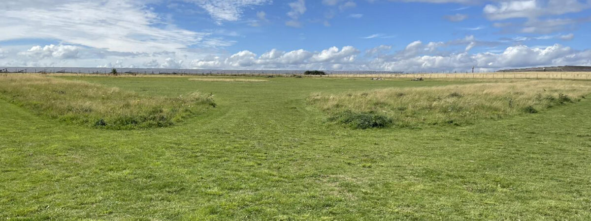 The Dog Space Secure Dog Field in Swindon