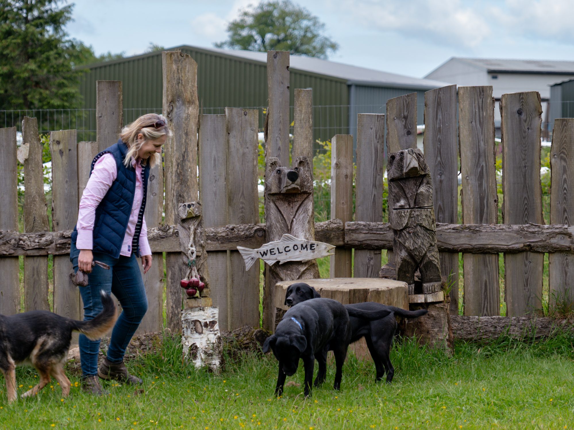 The Hills dog park at Blackdown Hills in Sheldon