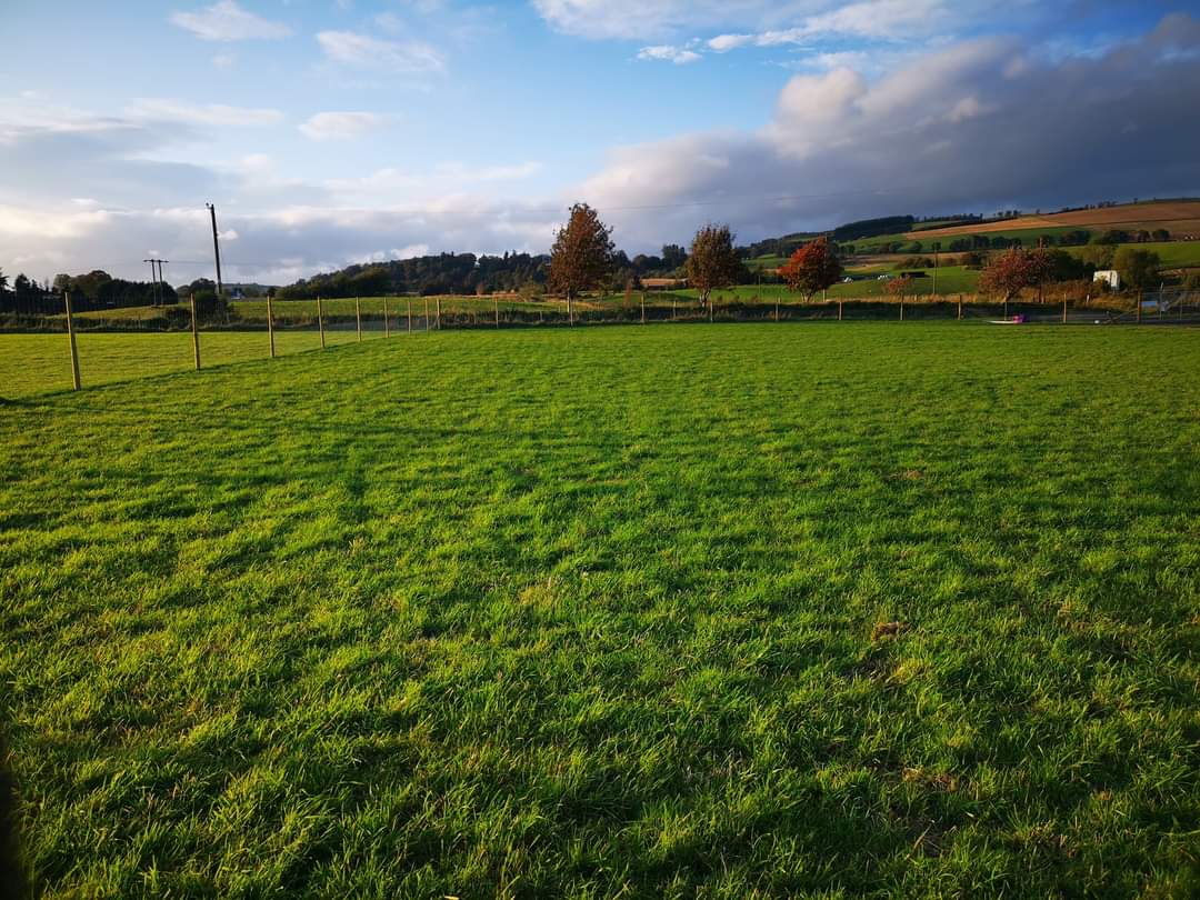 Fenced grass exercise field at Blairgowrie Dog Park in Rattray
